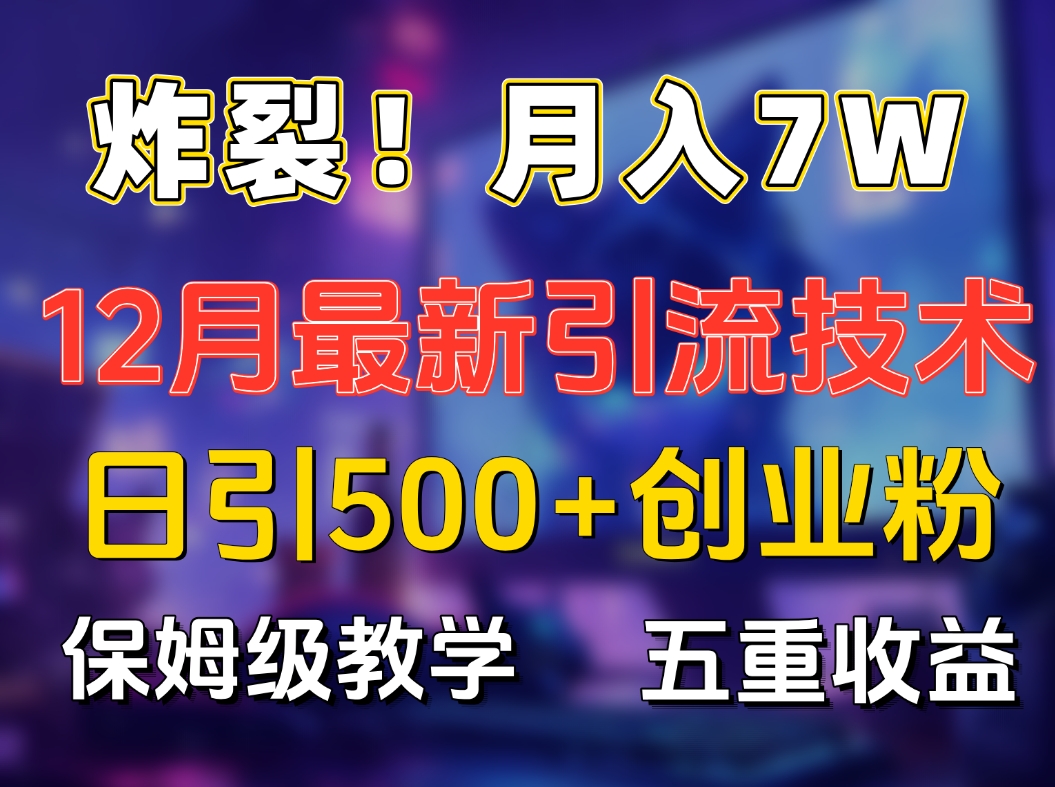 炸裂！月入7W+揭秘12月最新日引流500+精准创业粉，多重收益保姆级教学时点搞钱-网创项目资源站-副业项目-创业项目-搞钱项目时点搞钱
