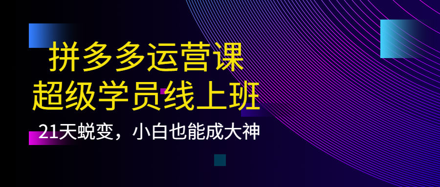 拼多多运营课：超级学员线上班，21天蜕变，小白也能成大神时点搞钱-网创项目资源站-副业项目-创业项目-搞钱项目时点搞钱