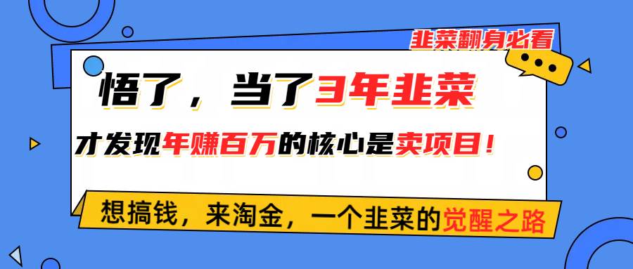 悟了，当了3年韭菜，才发现网赚圈年赚100万的核心是卖项目，含泪分享！时点搞钱-网创项目资源站-副业项目-创业项目-搞钱项目时点搞钱