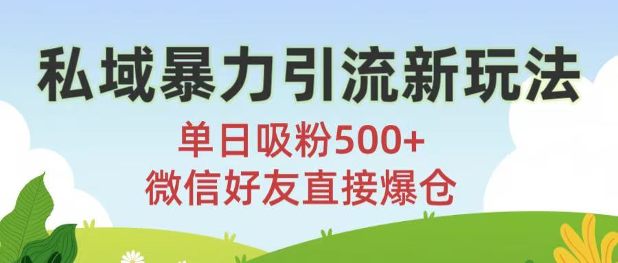 私域暴力引流新玩法!单日吸粉500+,微信好友直接爆仓时点搞钱-网创项目资源站-副业项目-创业项目-搞钱项目时点搞钱