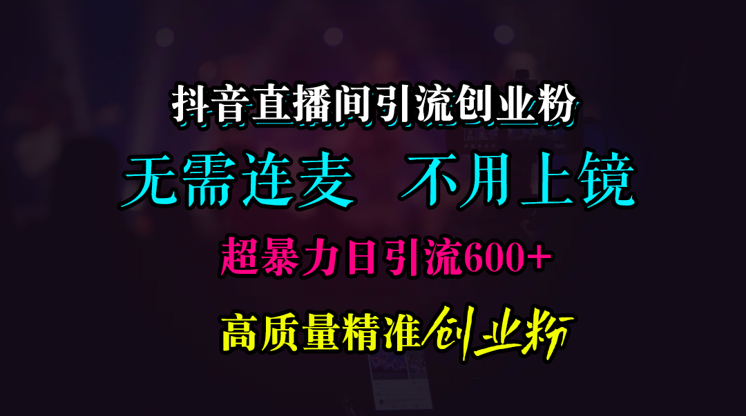 抖音直播间引流创业粉,无需连麦、无需上镜,超暴力日引流600+高质量精准创业粉时点搞钱-网创项目资源站-副业项目-创业项目-搞钱项目时点搞钱