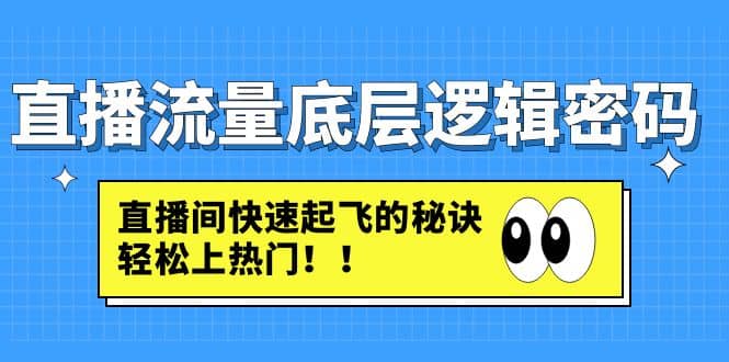直播流量底层逻辑密码：直播间快速起飞的秘诀，轻松上热门时点搞钱-网创项目资源站-副业项目-创业项目-搞钱项目时点搞钱