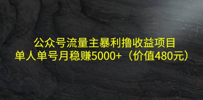 公众号流量主暴利撸收益项目，单人单号月稳赚5000+（价值480元）时点搞钱-网创项目资源站-副业项目-创业项目-搞钱项目时点搞钱