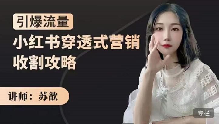 小红书穿透式营销收割攻略，引爆流量，助你玩转小红书时点搞钱-网创项目资源站-副业项目-创业项目-搞钱项目时点搞钱