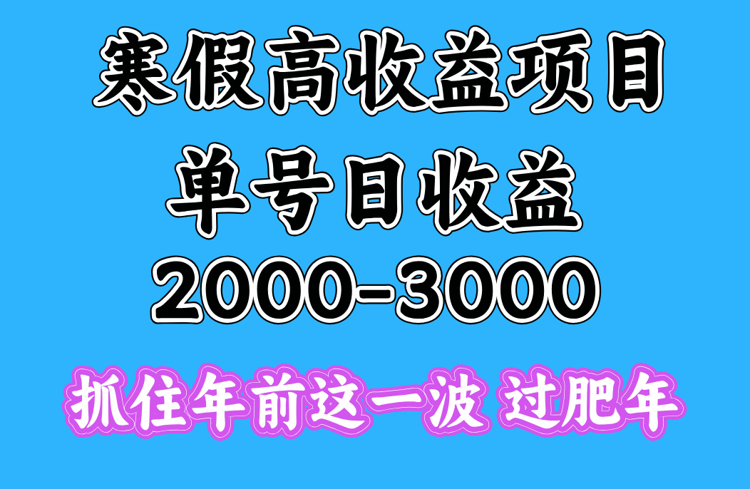 寒假期间一天收益2000-3000+,抓住年前这一波时点搞钱-网创项目资源站-副业项目-创业项目-搞钱项目时点搞钱