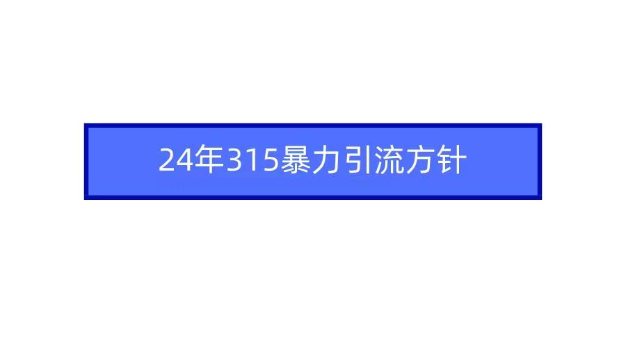 2024年315暴力引流方针时点搞钱-网创项目资源站-副业项目-创业项目-搞钱项目时点搞钱