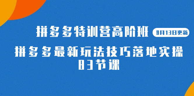2023拼多多·特训营高阶班【9月13日更新】拼多多最新玩法技巧落地实操-83节时点搞钱-网创项目资源站-副业项目-创业项目-搞钱项目时点搞钱