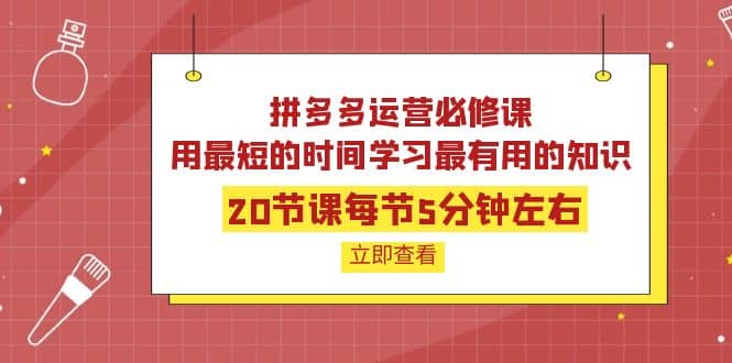 拼多多运营必修课：20节课每节5分钟左右，用最短的时间学习最有用的知识时点搞钱-网创项目资源站-副业项目-创业项目-搞钱项目时点搞钱
