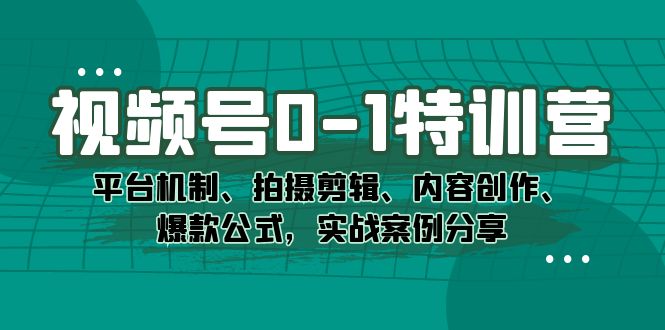 视频号0-1特训营：平台机制、拍摄剪辑、内容创作、爆款公式，实战案例分享时点搞钱-网创项目资源站-副业项目-创业项目-搞钱项目时点搞钱