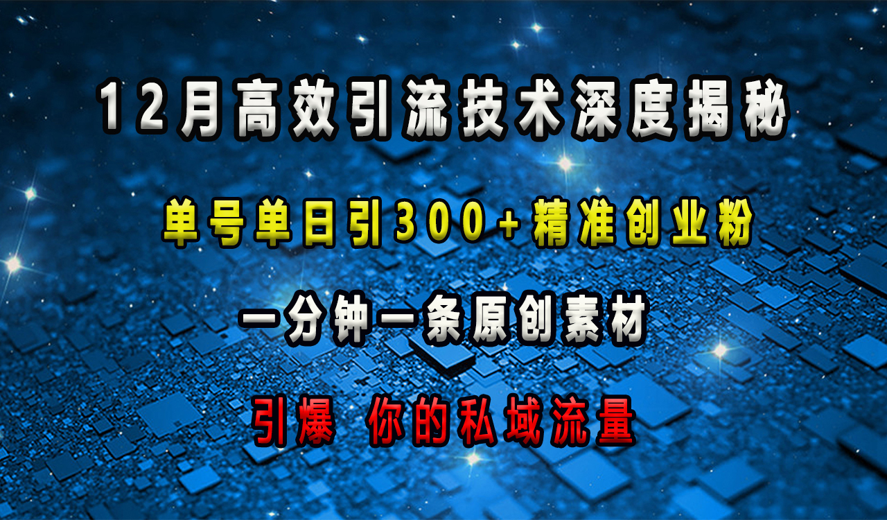 12月高效引流技术深度揭秘 ，单号单日引300+精准创业粉，一分钟一条原创素材，引爆你的私域流量时点搞钱-网创项目资源站-副业项目-创业项目-搞钱项目时点搞钱