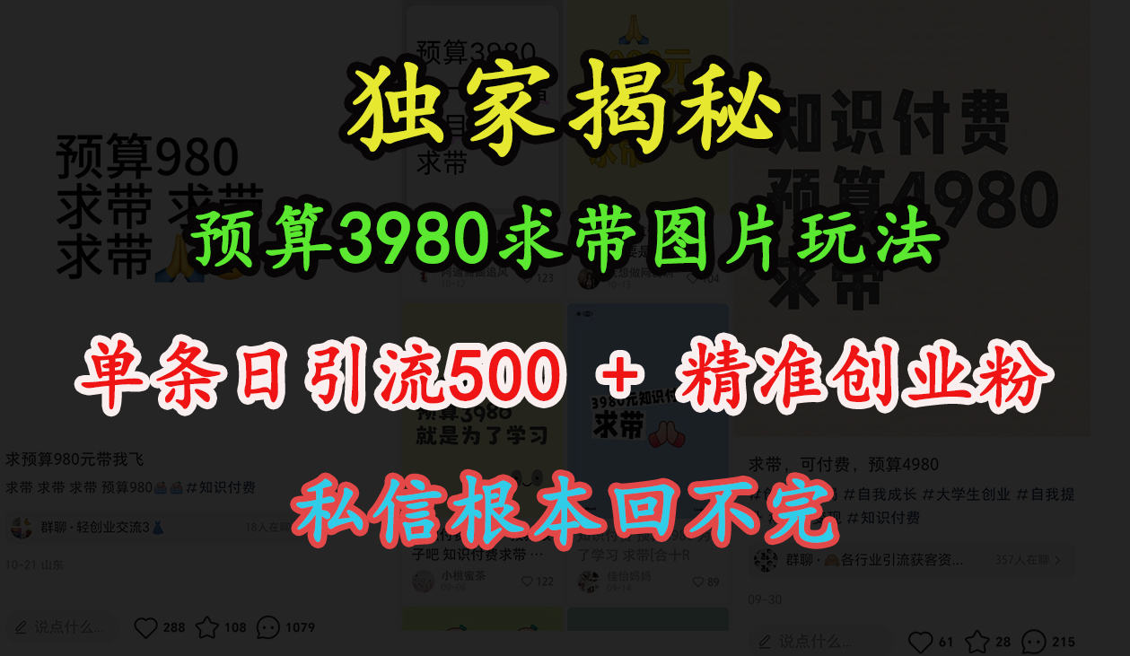 “小红书”预算3980求带 图片玩法,单条日引流500+精准创业粉,私信根本回不完时点搞钱-网创项目资源站-副业项目-创业项目-搞钱项目时点搞钱