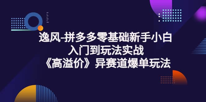 拼多多零基础新手小白入门到玩法实战《高溢价》异赛道爆单玩法实操课时点搞钱-网创项目资源站-副业项目-创业项目-搞钱项目时点搞钱