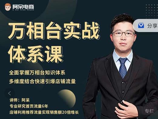阿呆-万相台实战体系课，帮您全面掌握万相台知识体系时点搞钱-网创项目资源站-副业项目-创业项目-搞钱项目时点搞钱
