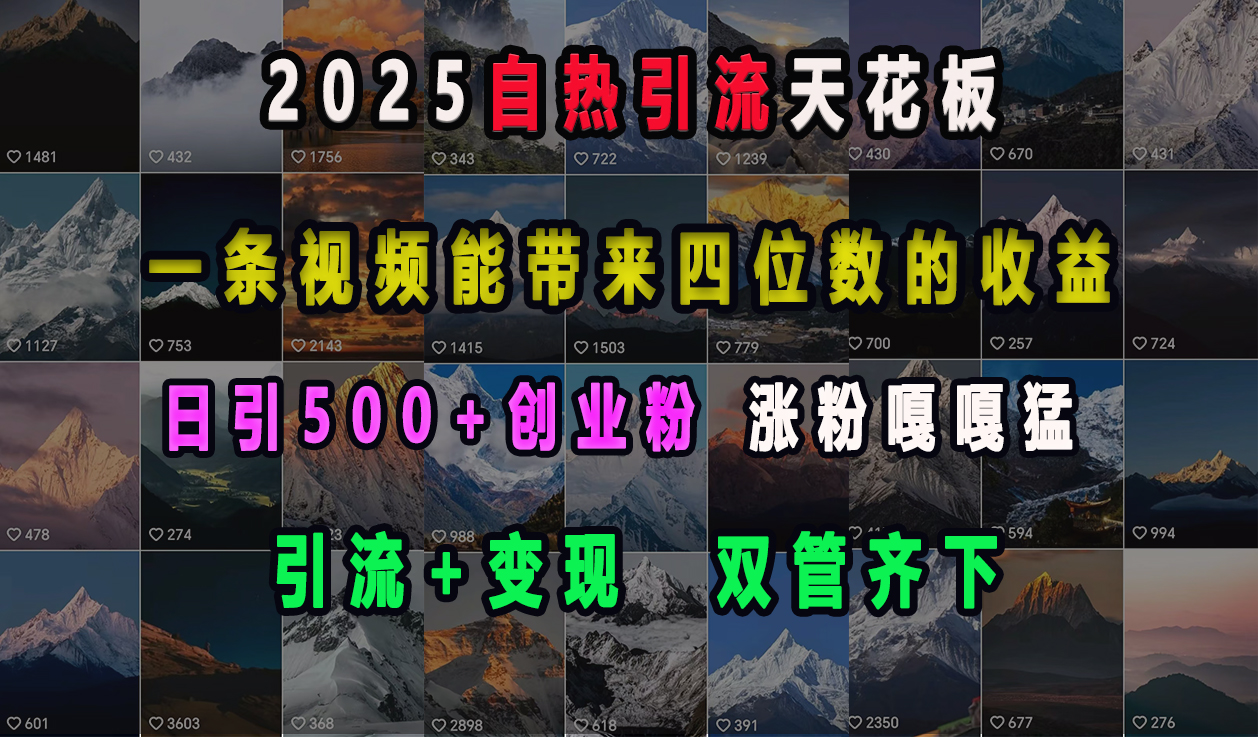 2025自热引流天花板,一条视频能带来四位数的收益,引流+变现双管齐下,日引500+创业粉,涨粉嘎嘎猛时点搞钱-网创项目资源站-副业项目-创业项目-搞钱项目时点搞钱