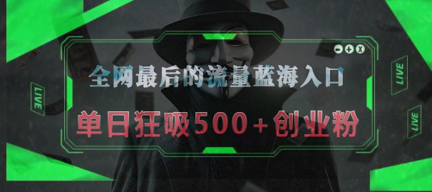 全网最后的流量蓝海入口,半小时引流50+创业粉,单日狂吸500+创业粉时点搞钱-网创项目资源站-副业项目-创业项目-搞钱项目时点搞钱