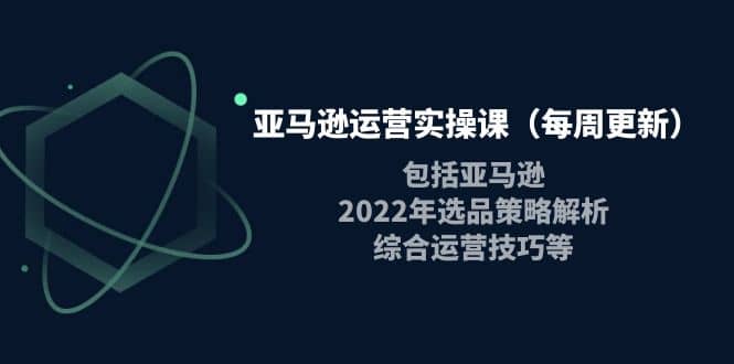 亚马逊运营实操课（每周更新）包括亚马逊2022选品策略解析，综合运营技巧等时点搞钱-网创项目资源站-副业项目-创业项目-搞钱项目时点搞钱