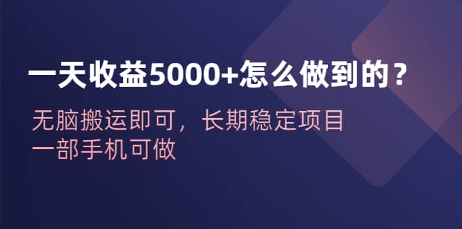 一天收益5000+怎么做到的？无脑搬运即可，长期稳定项目，一部手机可做时点搞钱-网创项目资源站-副业项目-创业项目-搞钱项目时点搞钱