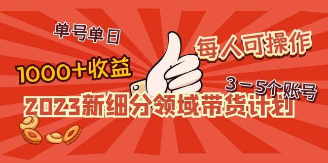 2023新细分领域带货计划：单号单日1000+收益不难，每人可操作3-5个账号时点搞钱-网创项目资源站-副业项目-创业项目-搞钱项目时点搞钱