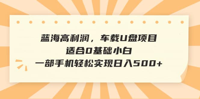 蓝海高利润，车载U盘项目，适合0基础小白，一部手机轻松实现日入500+时点搞钱-网创项目资源站-副业项目-创业项目-搞钱项目时点搞钱