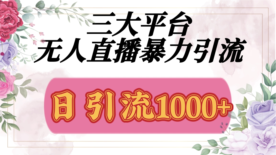 抖音，快手，视频号全平台通用，无人直播引流法，利用图片,模板,整套话术挂机全天支持矩阵操作，无限设备多开，超暴力引流，1000+高质量精准创业粉时点搞钱-网创项目资源站-副业项目-创业项目-搞钱项目时点搞钱