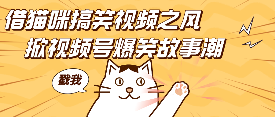 借猫咪搞笑视频之风，掀视频号爆笑故事潮，轻松日赚四位数，开启无门槛赚钱新体验！时点搞钱-网创项目资源站-副业项目-创业项目-搞钱项目时点搞钱