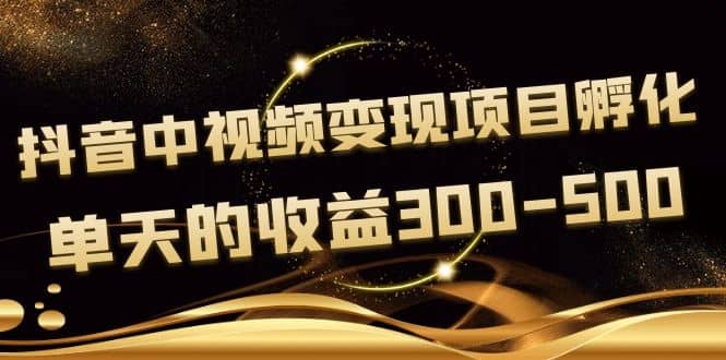 黄岛主《抖音中视频变现项目孵化》单天的收益300-500 操作简单粗暴时点搞钱-网创项目资源站-副业项目-创业项目-搞钱项目时点搞钱