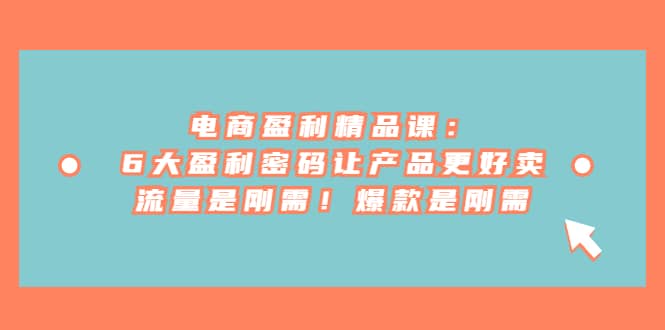 电商 盈利精品课：6大盈利 密码让产品更好卖，流量是刚需！爆款是刚需时点搞钱-网创项目资源站-副业项目-创业项目-搞钱项目时点搞钱