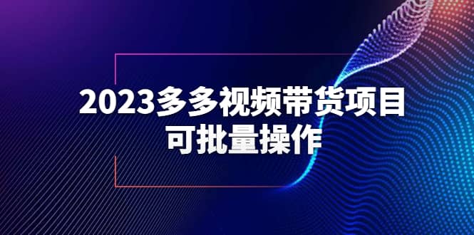 2023多多视频带货项目，可批量操作【保姆级教学】时点搞钱-网创项目资源站-副业项目-创业项目-搞钱项目时点搞钱