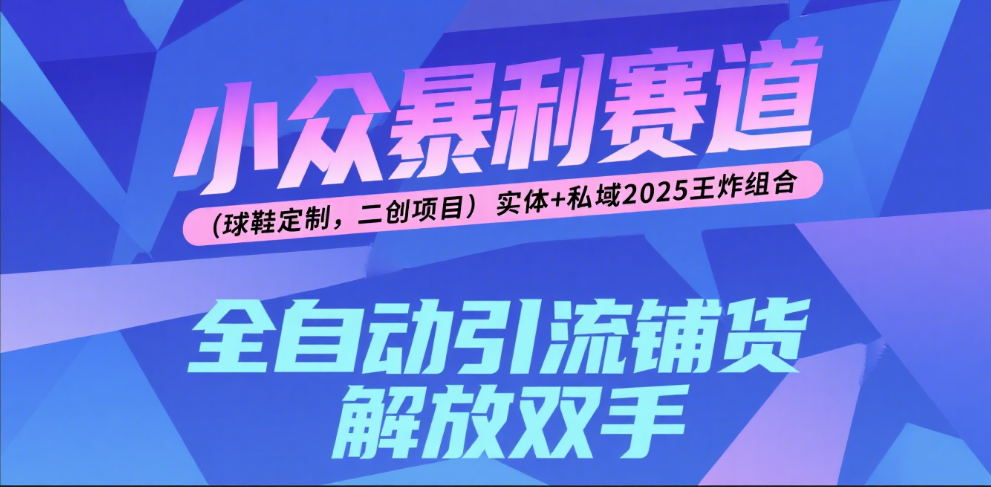 楠—小众暴利赛道（球鞋定制，二创项目）实体+私域2025王炸组合时点搞钱-网创项目资源站-副业项目-创业项目-搞钱项目时点搞钱