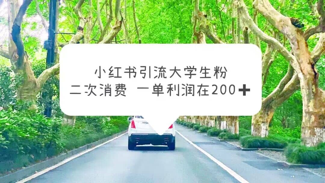 小红书引流大学生粉，变现项目，一单利润在200+（教程+资源）时点搞钱-网创项目资源站-副业项目-创业项目-搞钱项目时点搞钱