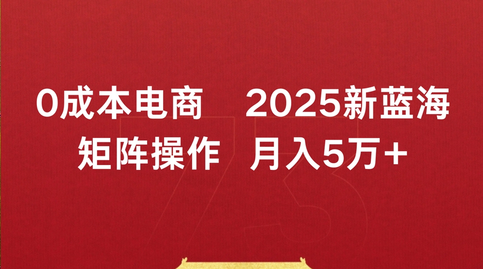 0成本电商2025新蓝海矩阵操作 月入5万+时点搞钱-网创项目资源站-副业项目-创业项目-搞钱项目时点搞钱