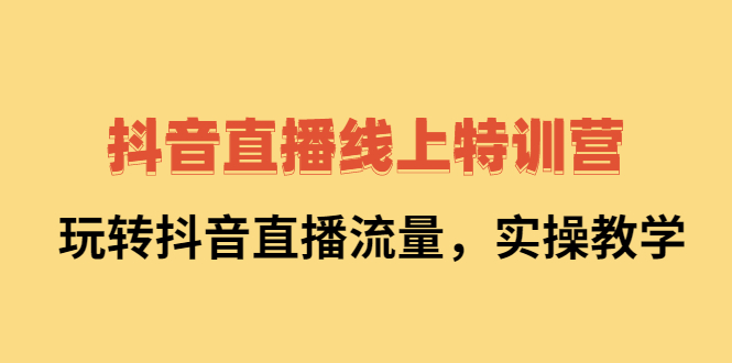 抖音直播线上特训营：玩转抖音直播流量，实操教学时点搞钱-网创项目资源站-副业项目-创业项目-搞钱项目时点搞钱