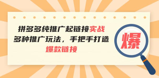 拼多多纯推广起链接实战：多种推广玩法，手把手打造爆款链接时点搞钱-网创项目资源站-副业项目-创业项目-搞钱项目时点搞钱