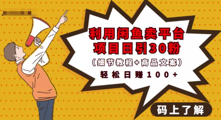 利用闲鱼卖平台项目课程资源日引流30+精准粉丝，轻松日赚100+，积累人脉可实现二次变现（细节教程+商品文案）时点搞钱-网创项目资源站-副业项目-创业项目-搞钱项目时点搞钱