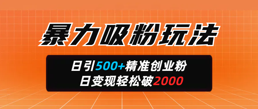 暴力吸粉玩法,日引500+精准创业粉,日变现轻松破2000时点搞钱-网创项目资源站-副业项目-创业项目-搞钱项目时点搞钱