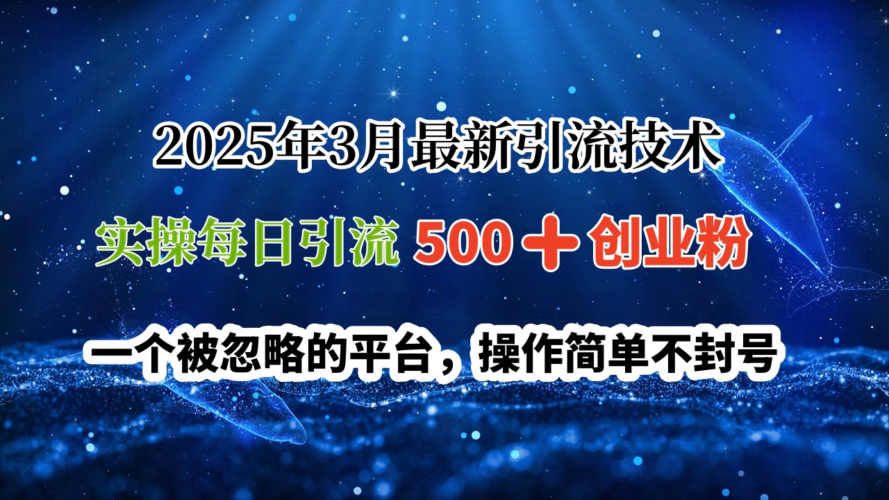 2025年3月最新引流技术，实操每日引流500➕创业粉，一个被忽略的平台，操作简单不封号时点搞钱-网创项目资源站-副业项目-创业项目-搞钱项目时点搞钱