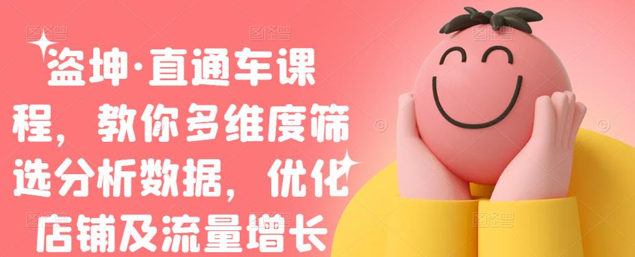 盗坤·直通车课程，教你多维度筛选分析数据，优化店铺及流量增长时点搞钱-网创项目资源站-副业项目-创业项目-搞钱项目时点搞钱