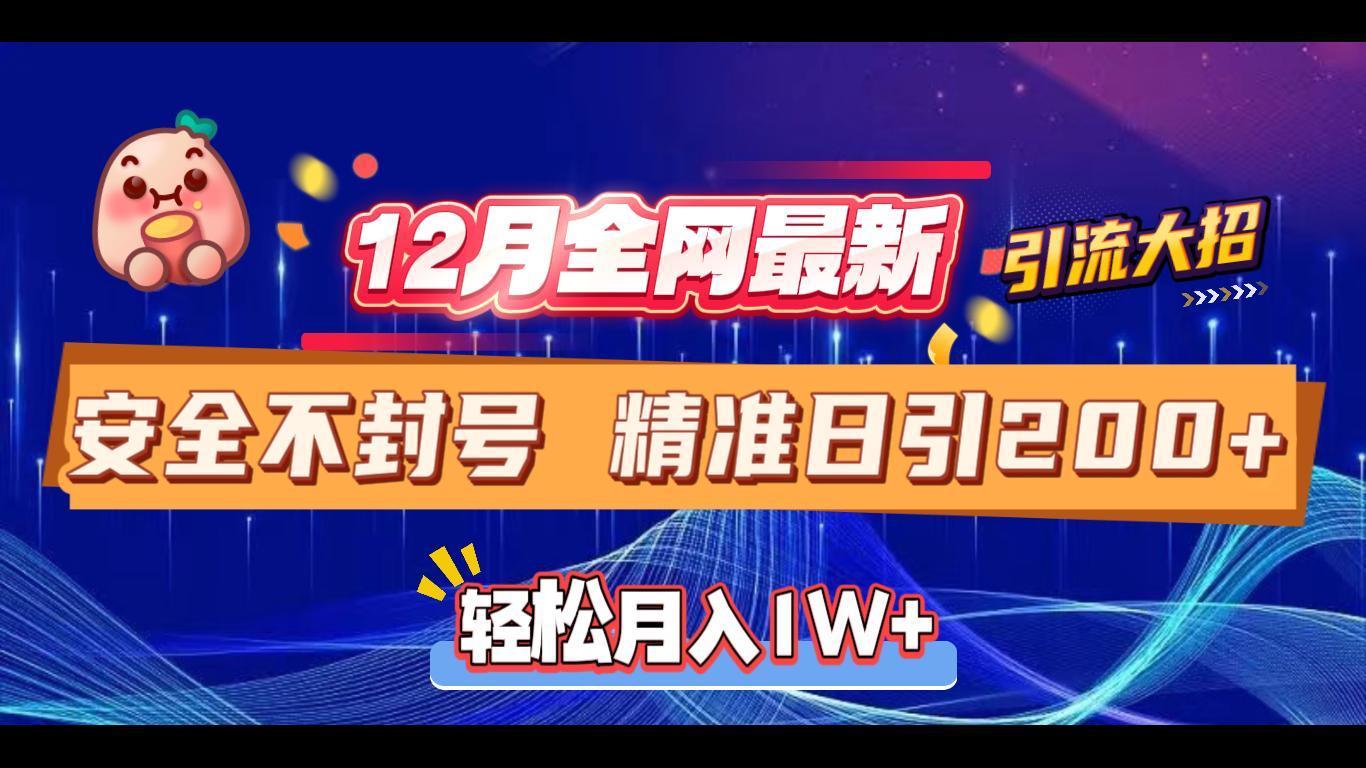 12月全网最新引流大招 安全不封号 日引精准粉200+时点搞钱-网创项目资源站-副业项目-创业项目-搞钱项目时点搞钱
