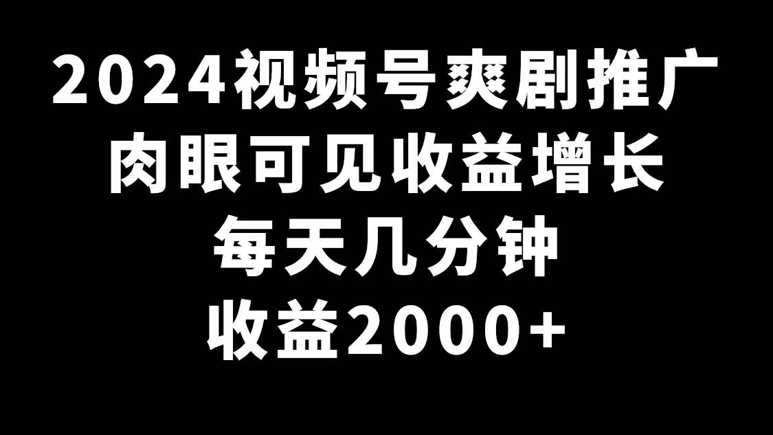 2024视频号爽剧推广，肉眼可见的收益增长，每天几分钟收益2000+时点搞钱-网创项目资源站-副业项目-创业项目-搞钱项目时点搞钱
