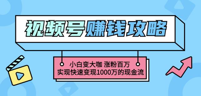 玩转微信视频号赚钱：小白变大咖涨粉百万实现快速变现1000万的现金流时点搞钱-网创项目资源站-副业项目-创业项目-搞钱项目时点搞钱