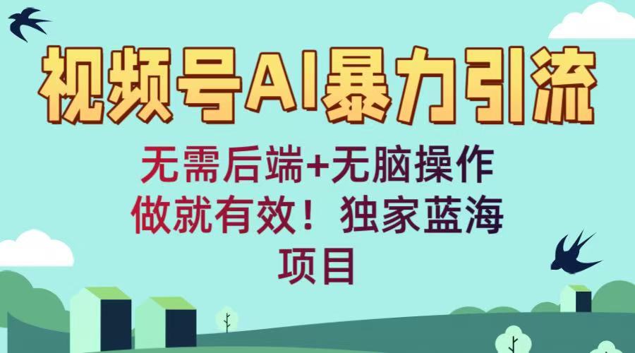 视频号AI暴力引流:无需后端+无脑操作,做就有效!独家蓝海项目时点搞钱-网创项目资源站-副业项目-创业项目-搞钱项目时点搞钱