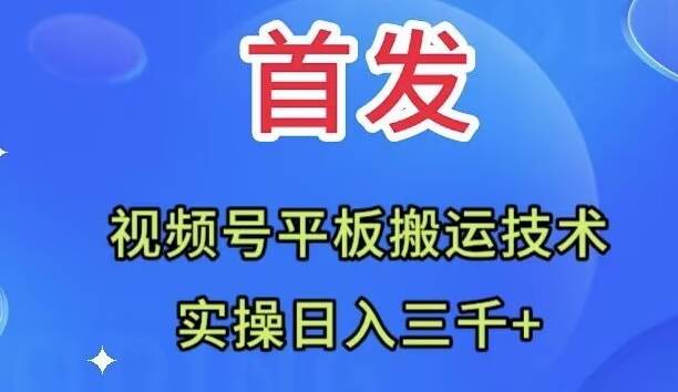 全网首发：视频号平板搬运技术，实操日入三千＋时点搞钱-网创项目资源站-副业项目-创业项目-搞钱项目时点搞钱