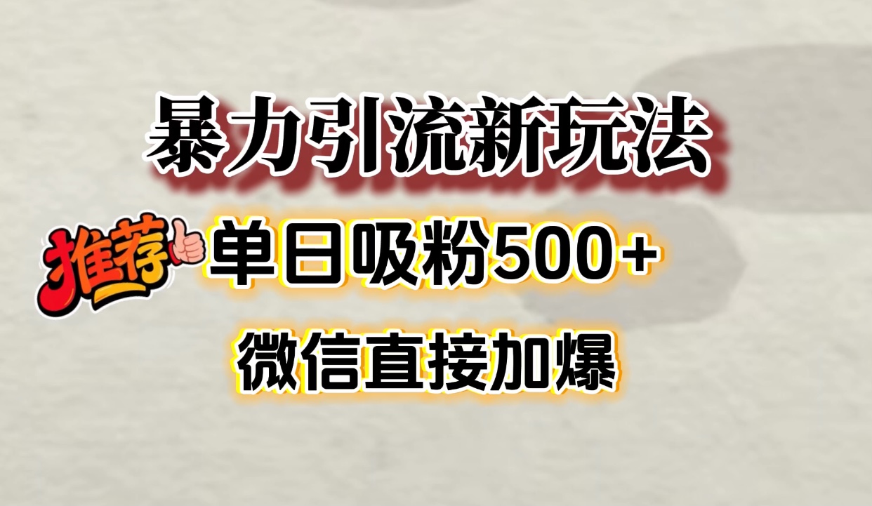 微信加爆的引流超级方法，单日吸粉500➕时点搞钱-网创项目资源站-副业项目-创业项目-搞钱项目时点搞钱