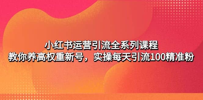 小红书运营引流全系列课程：教你养高权重新号时点搞钱-网创项目资源站-副业项目-创业项目-搞钱项目时点搞钱