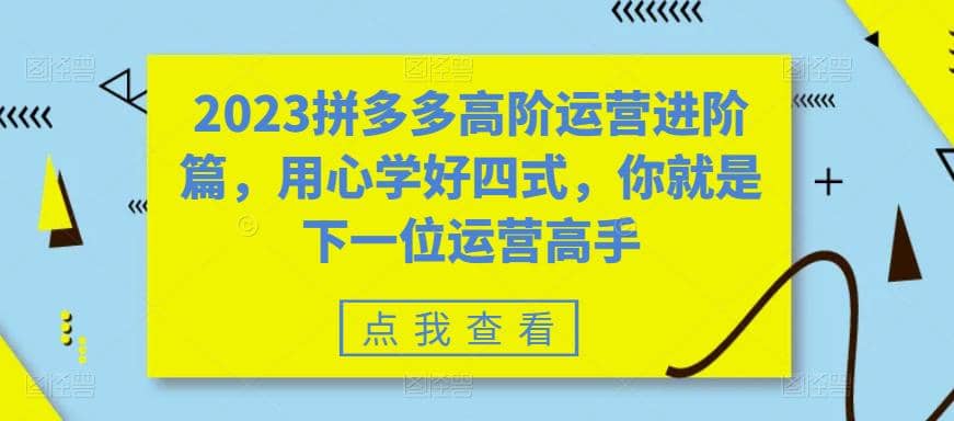 2023拼多多高阶运营进阶篇，用心学好四式，你就是下一位运营高手时点搞钱-网创项目资源站-副业项目-创业项目-搞钱项目时点搞钱