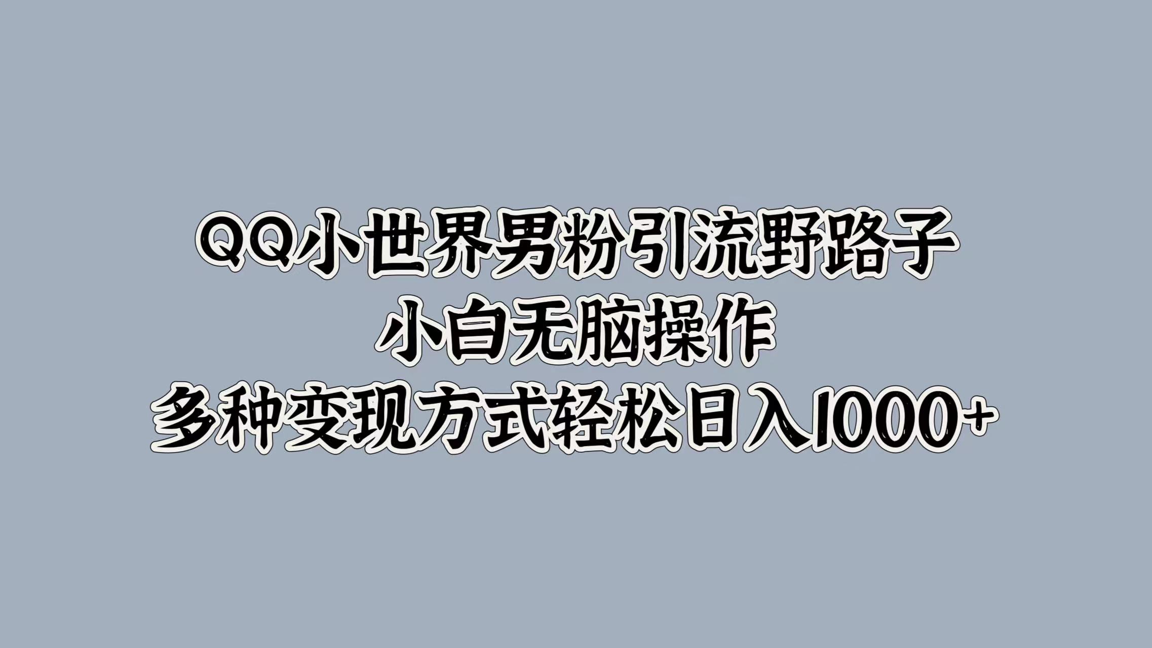 QQ小世界男粉引流野路子，小白无脑操作，多种变现方式轻松日入1000+时点搞钱-网创项目资源站-副业项目-创业项目-搞钱项目时点搞钱