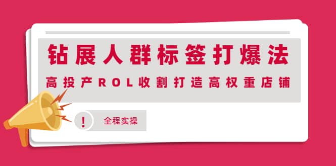 钻展人群标签打爆法，高投产ROL收割打造高权重店铺(全程实操)时点搞钱-网创项目资源站-副业项目-创业项目-搞钱项目时点搞钱