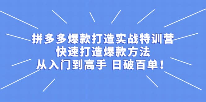 拼多多爆款打造实战特训营：快速打造爆款方法，从入门到高手 日破百单时点搞钱-网创项目资源站-副业项目-创业项目-搞钱项目时点搞钱