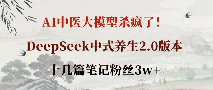 AI中医大模型杀疯了！DeepSeek中式养生2.0版本，十几篇笔记粉丝3w+时点搞钱-网创项目资源站-副业项目-创业项目-搞钱项目时点搞钱