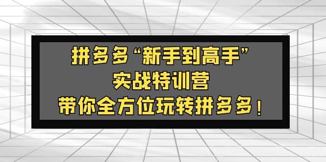 拼多多“新手到高手”实战特训营：带你全方位玩转拼多多时点搞钱-网创项目资源站-副业项目-创业项目-搞钱项目时点搞钱